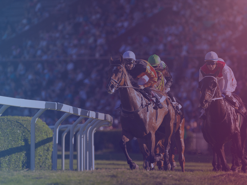 France Galop Streamlines Digital Transformation with Adaptigent